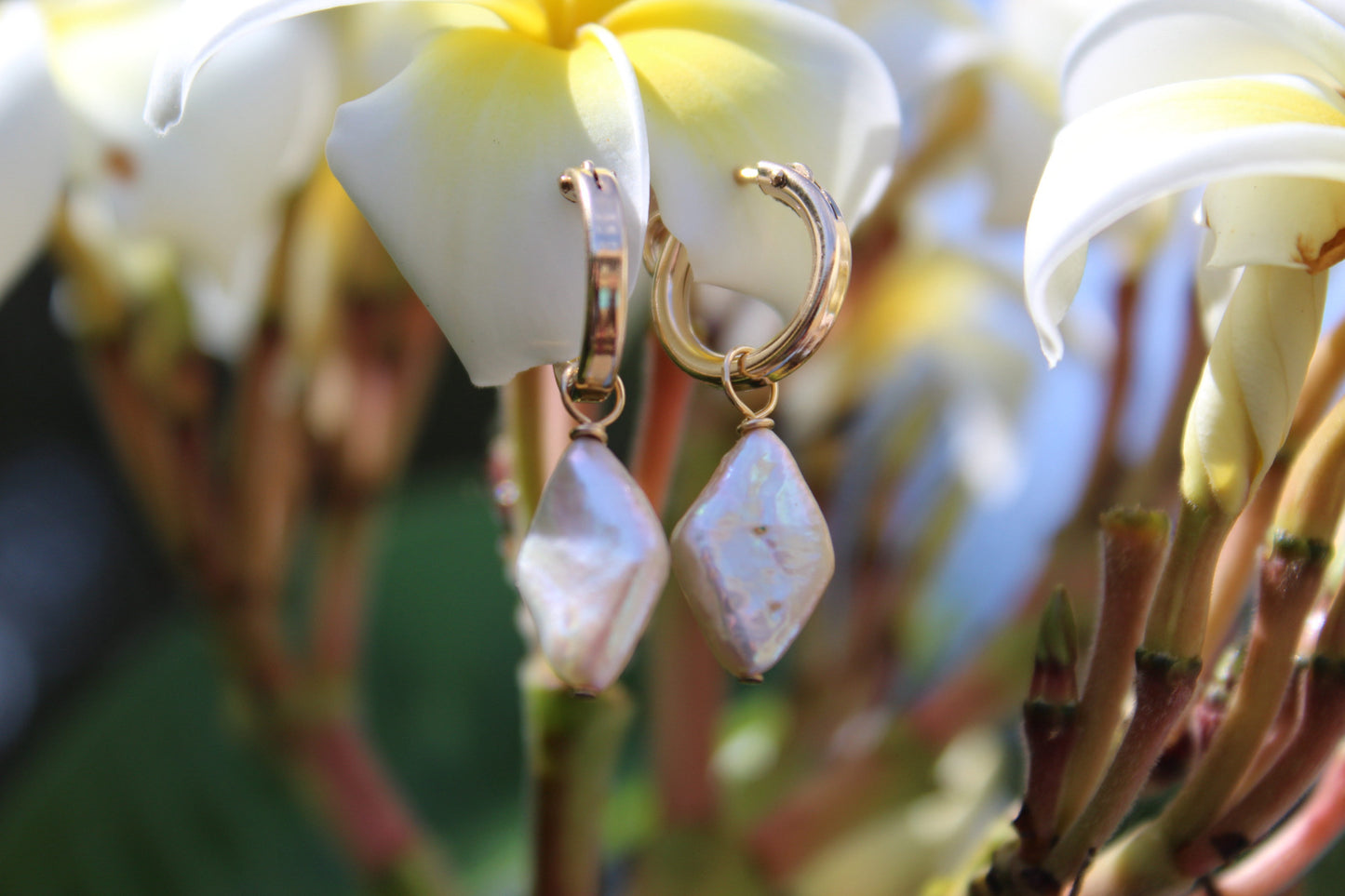 Diamond Shaped Pearl Earrings