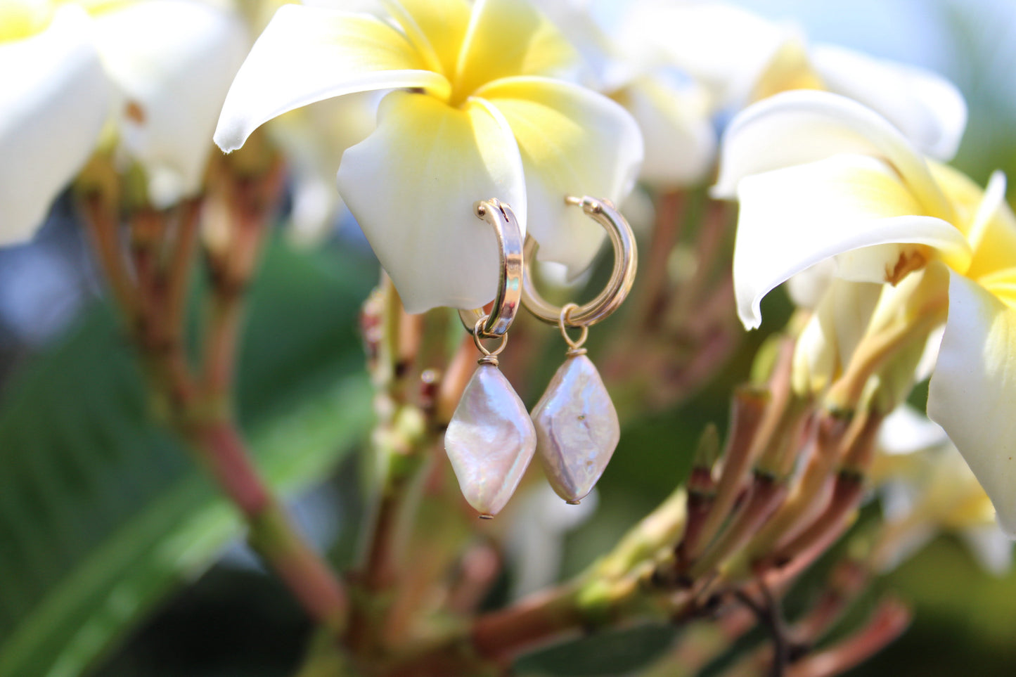 Diamond Shaped Pearl Earrings