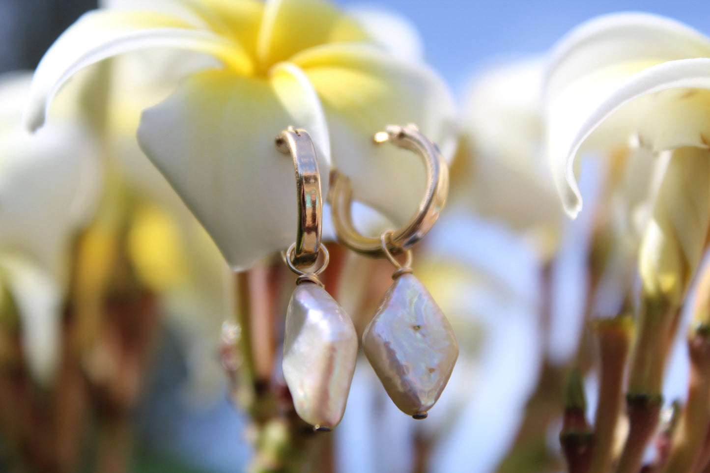 Diamond Shaped Pearl Earrings